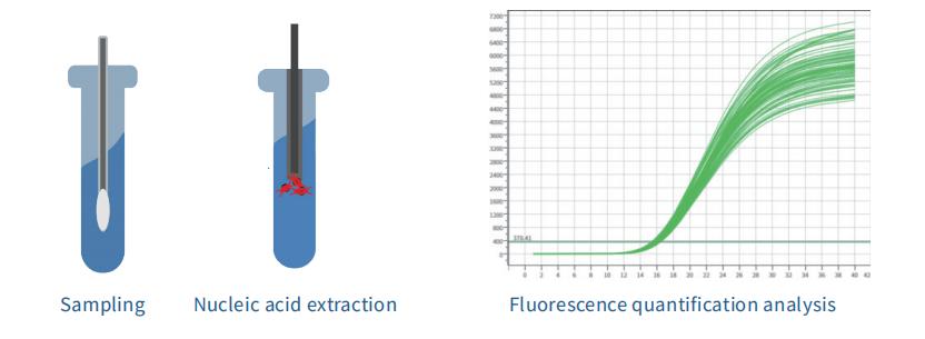 FCV experimental result