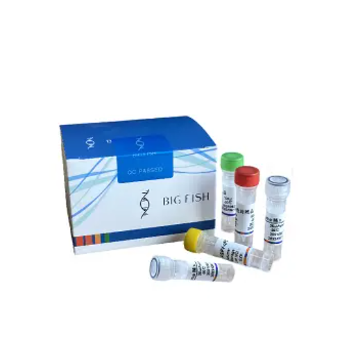 Identification Kit